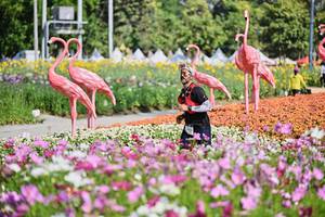 BIB: 
                            <button type="button" onclick="openModal(27807600)" class="btn btn-primary btn-sm float-right btn-popup" data-toggle="modal" data-target=".modal-high-quality">
                        <i class="fas fa-shopping-cart"></i> Add to Cart
                    </button>
                                            <button type="button" onclick="isThisMe(27807600, true)" class="btn btn-success btn-sm float-right btn-popup btn-isme hidden" data-toggle="tooltip" data-placement="bottom" title="นี่คือรูปของคุณใช่ไหม คลิกที่นี่เพื่อเอาเข้าอัลบั้ม">
                        <i class="fas fa-plus"></i> Add to album
                    </button>
                    <button type="button" onclick="isThisMe(27807600, false)" class="btn btn-warning btn-sm float-right btn-popup btn-isnotme hidden">
                        <i class="fas fa-ban"></i> Remove from album
                    </button>